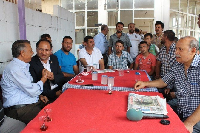 Beş Milyon Romanın ’Bir Tanesi’
