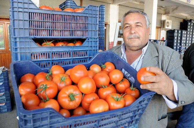 Türk Domatesine Dost Morali