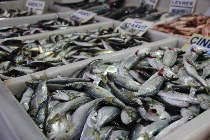 Sağlığınız İçin Balık Tüketin