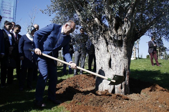 Bakan Müezzinoğlu’ndan Eşine 415 Yıllık Evlilik Yıl Dönümü Hediyesi