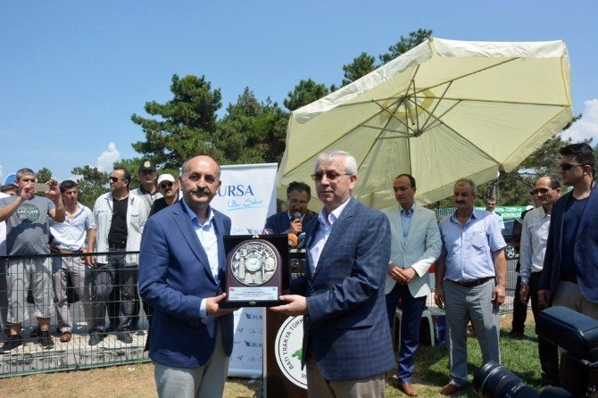Sağlık Bakanı Mehmet Müezzinoğlu: