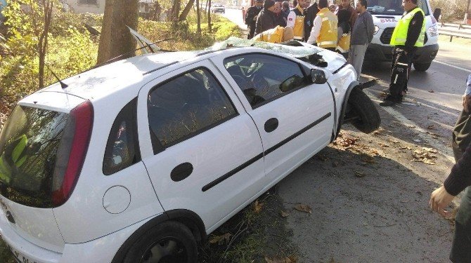 Yoldan Çıkan Otomobil Ağaca Çarptı: İki Yaralı