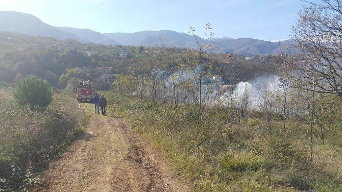 Sakarya’da 5 Dönümlük Arazi Kül Oldu
