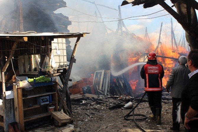 Sakarya’da İki Ayrı İlçede Yangın Çıktı