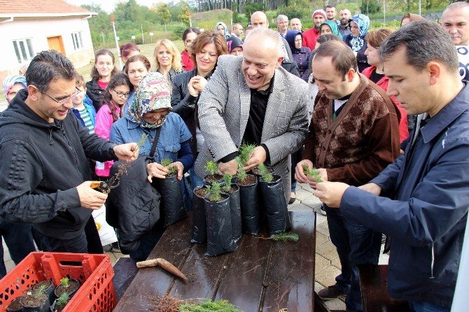 Gazi Devlet Hastanesi Çalışanlarından Fidan Dikim Etkinliği