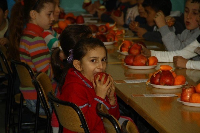 “Sağlıklı Meyve Tabağım” Etkinliği