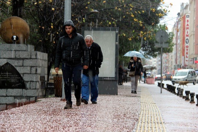 Samsun’da 4 Mevsim Birden Yaşandı