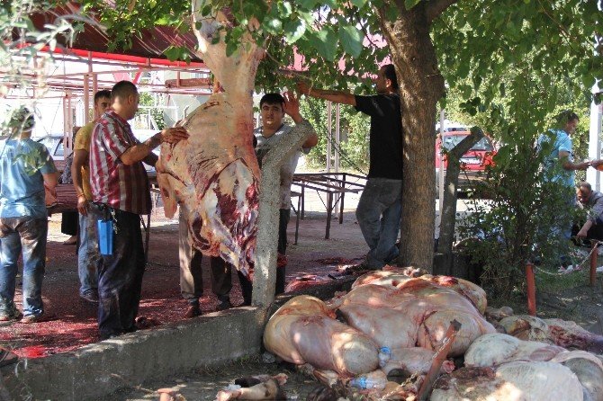 Samsun’da Kurban Manzaraları