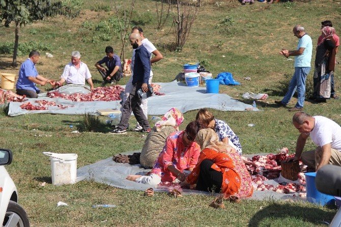Samsun’da Kurban Manzaraları