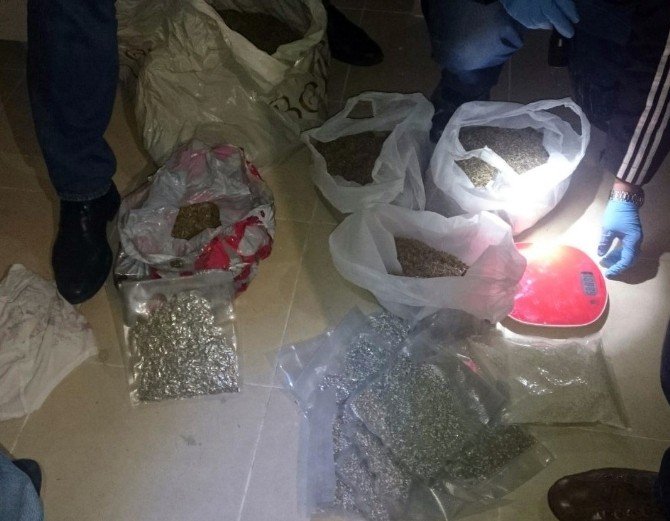Samsun’da 5 Kilo 770 Gram Bonzai Ele Geçti