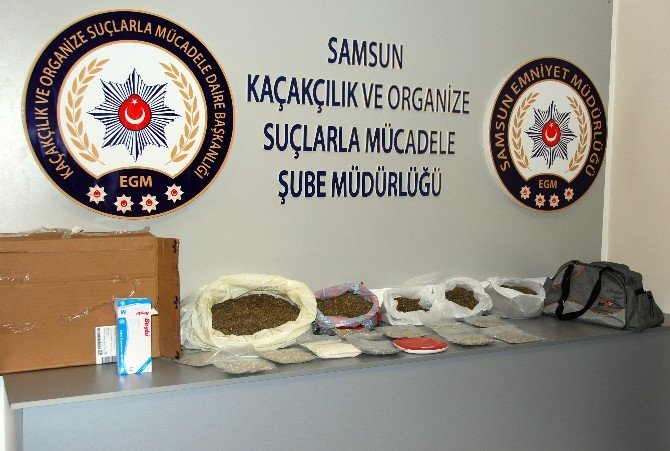 Samsun’da 5 Kilo 770 Gram Bonzai Ele Geçti