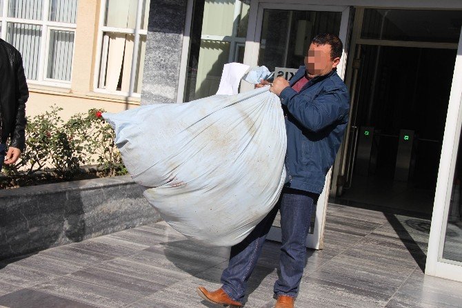 Samsun’da Yaklaşık 500 Kilo Uyuşturucu Yakılarak İmha Edildi