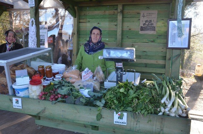 Organik Ürün Pazarı
