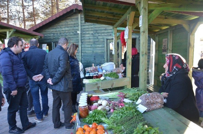 Organik Ürün Pazarı