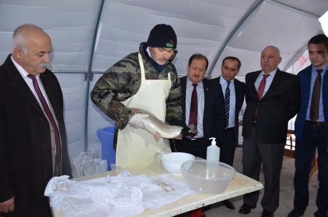 Bafra’dan Almanya’ya Havyar İhraç Edilecek