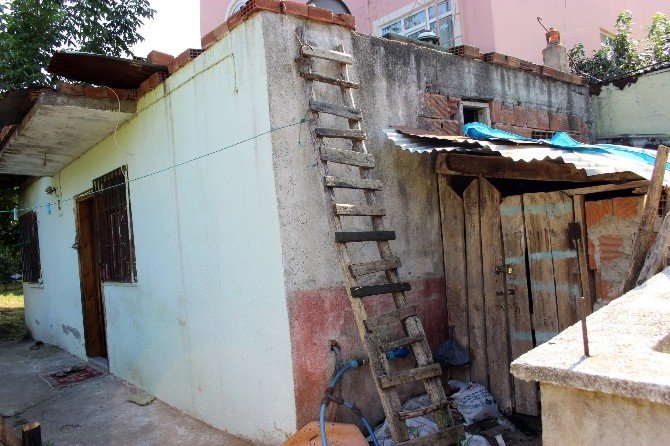 Bu Aile Mezarlıkta Yaşıyor