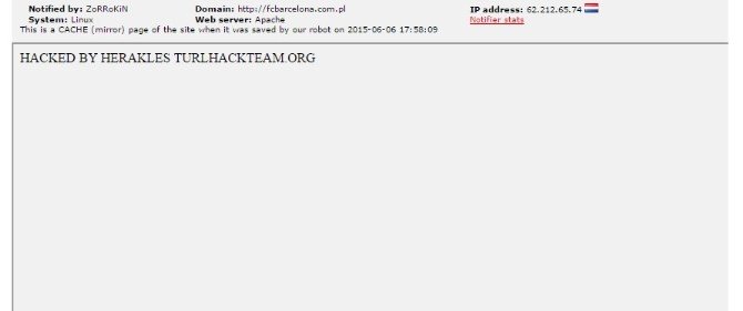 Türkiye Savunucusu Hackerlardan "2015" Vurgusu