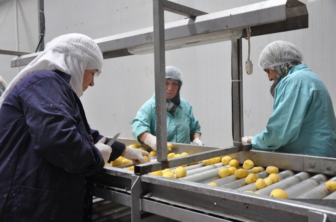 Bu Da Sandıklı Patates Püresi