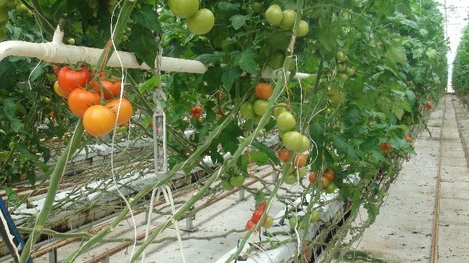 Sera-bir Yönetim Kurulu Başkanı Müslüm Yanmaz: