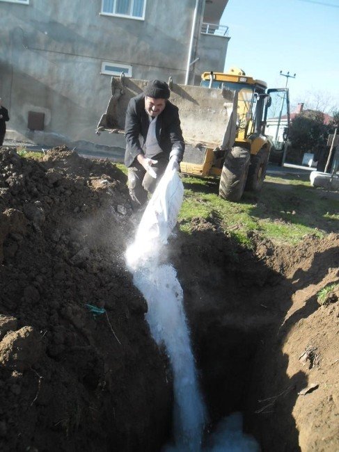 Çarşamba’da ‘Şap Hastalığı’ Nedeniyle Hayvan Pazarı Kapatıldı
