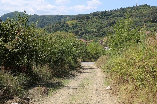 Sapanca Belediyesi Ekipleri Mesafe Tanımadan Hizmete Devam Ediyor