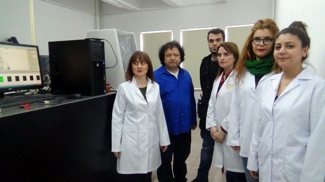 Sdü’de Üretilen Nanomotorlarla Kanser Tedavi Edilecek