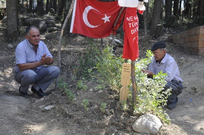 Banka Hesabından 62 Tl Çıkan Şehidin Dedesi, Yapılan Yardımları Yetim Çocukların Eğitimi İçin Harcayacak