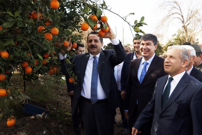 Bakan Çelik’ten Et Fiyatları Ve Cerattepe Açıklaması