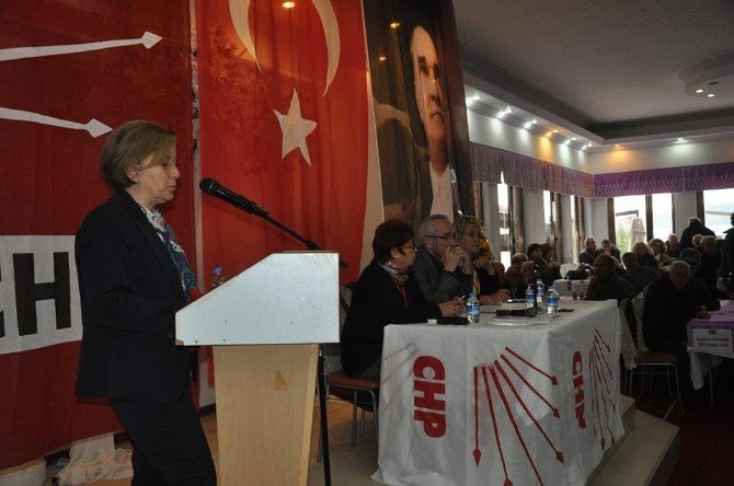 Chp Sinop Merkez İlçe Kongresi