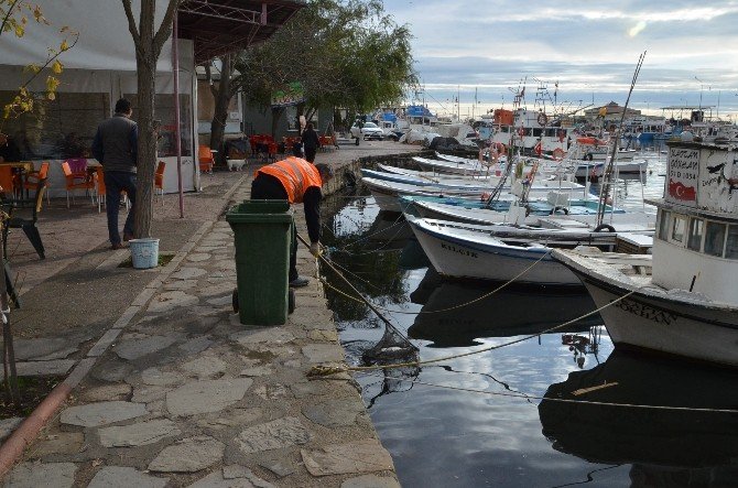 Sinop’ta Sahiller Temizleniyor