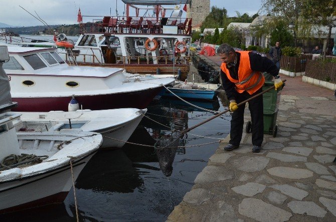 Sinop’ta Sahiller Temizleniyor