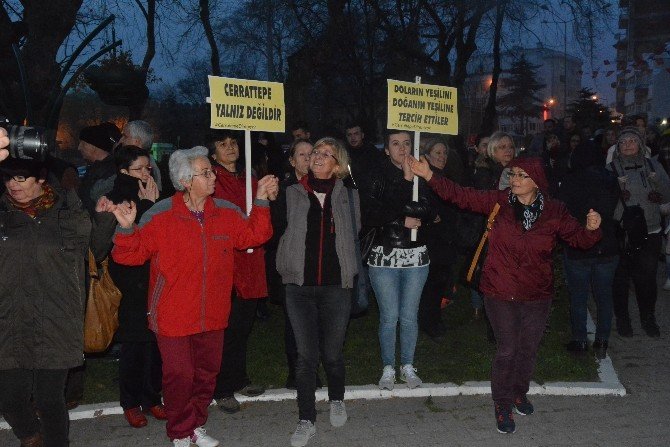 Sinop’ta Cerattepe Eylemi