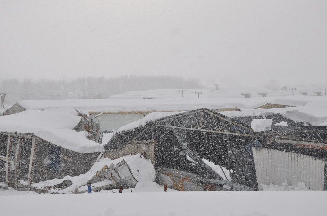 Sinop’ta Yağan Kar Fabrika Çatılarını Çökertti