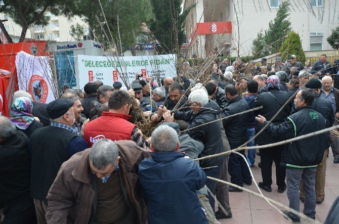 Soma Belediyesi Ve Ziraat Odası’ndan Doğaya Büyük Katkı