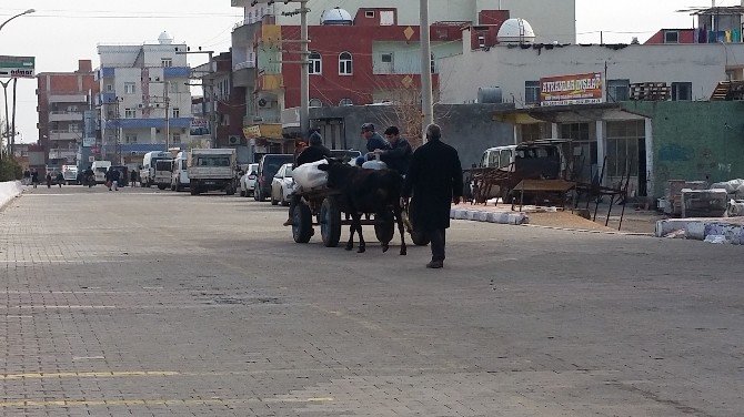 İdil’de Binlerce Öğrenci Karnelerini Alamadı