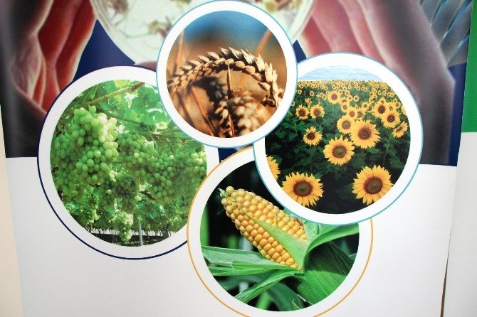 Gıda Güvenliğine Dikkat