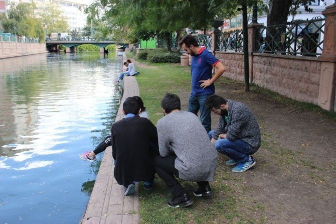 Sosyal Medya Kulübü Tanıtım Filmi