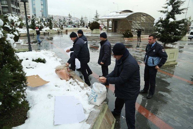 İlkadım’dan Sokak Hayvanlarına Yem Ve Mama