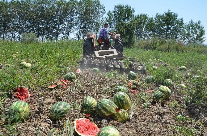 Savaş Ve Operasyonlar Kavun Karpuz Üreticisini De Vurdu