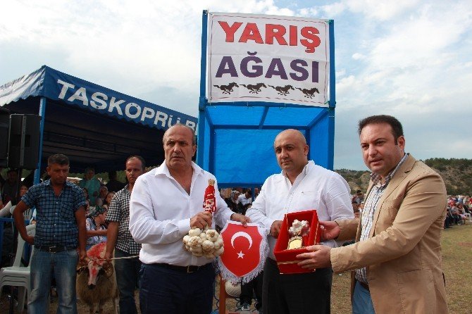 Taşköprü’de At Yarışları Nefes Kesti