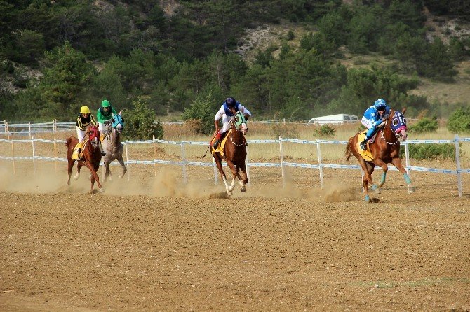Taşköprü’de At Yarışları Nefes Kesti