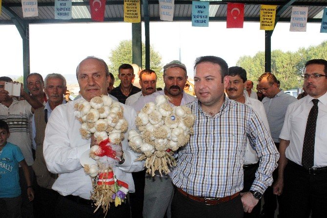 En Güzel Sarımsak Cumhurbaşkanına Hediye Edilecek