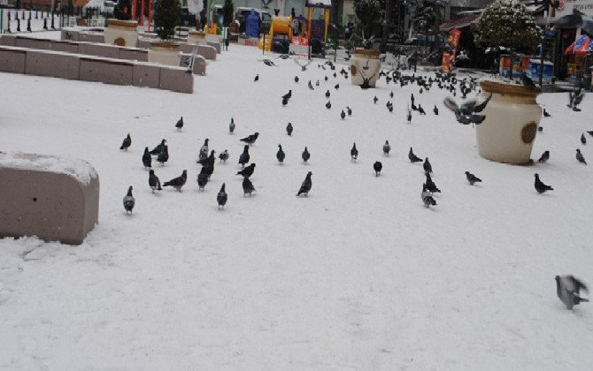 Tekirdağ’da Okullar Tatil Edildi