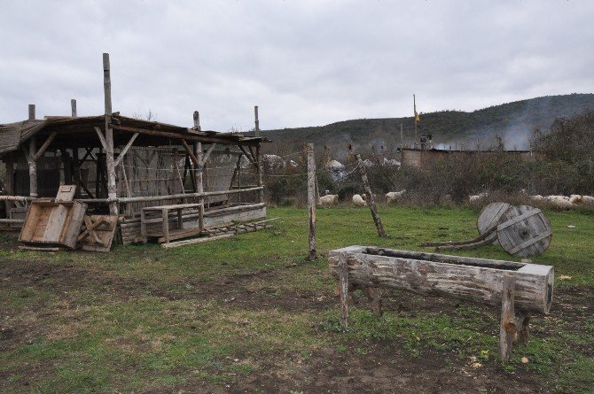 Diriliş Ertuğrul’un Efsane Karakteri Bamsı Geri Döndü