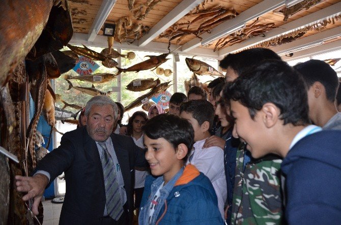 Öğrencilere Teog Öncesi Balık Dopingi