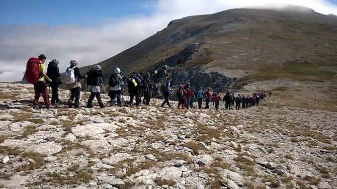 2486 Metrede Terörü Tel’in Eylemi