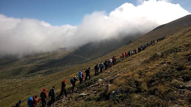 2486 Metrede Terörü Tel’in Eylemi