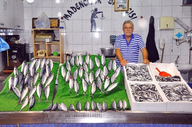 Balıkçılar Denizden Umduğunu Bulamadı