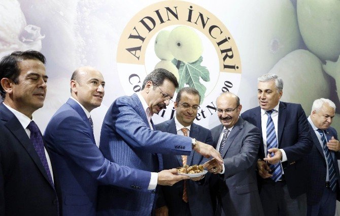 Ab Yolundaki Aydın İnciri Yörex’te