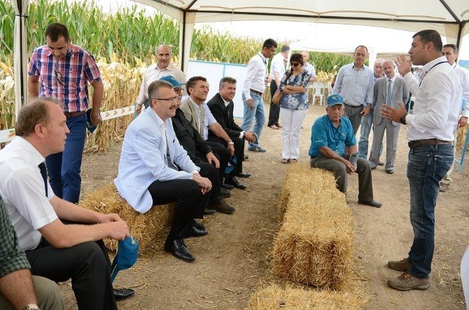 Karacabey’de Mısır Festivali